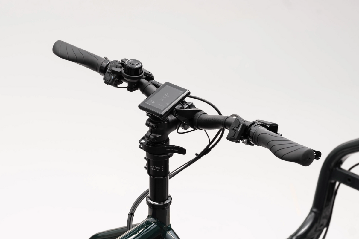 Larry vs Harry eBullitt Shimano STePS EP600 XT11 Di2 - Lastenrad
