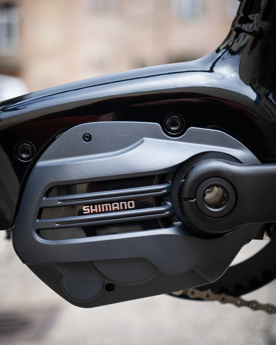 Larry vs Harry STePS eBullitt e6100 Shimano XT Di2 + 630Wh Akku