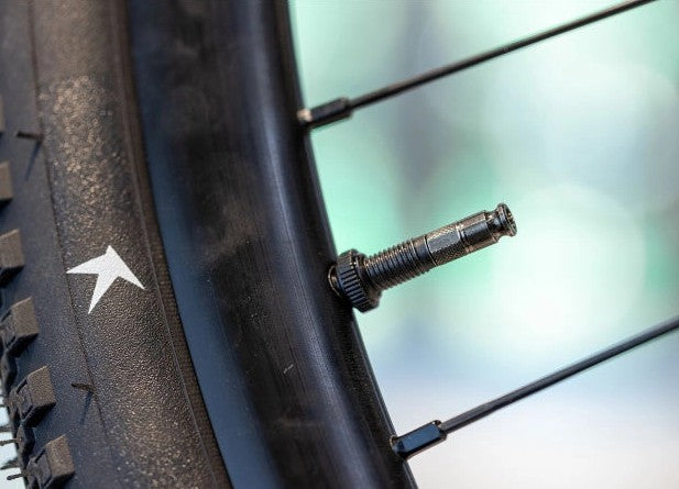 Schwalbe Clik Valve, Conversion Kit SV to SCV mit Pumpenkopf Adapter